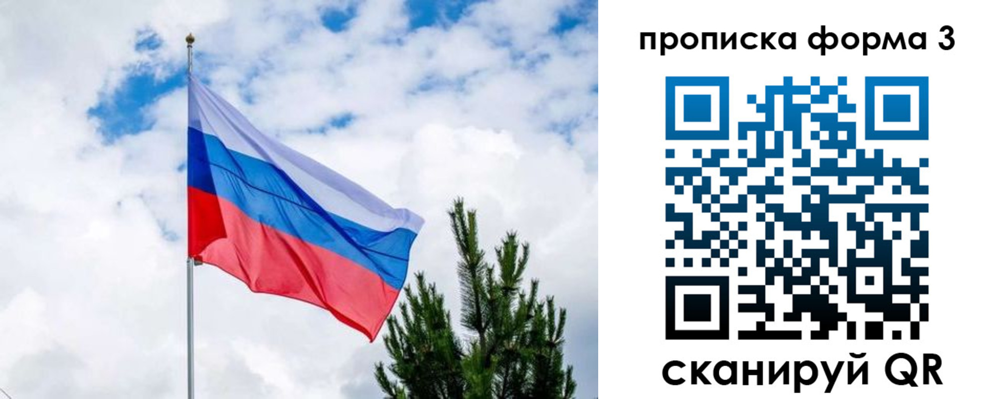 прописка для школы в Высоковске